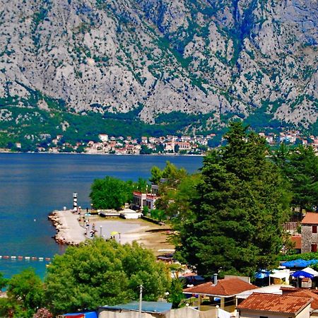 Apartments Scorpio Kotor Eksteriør bilde
