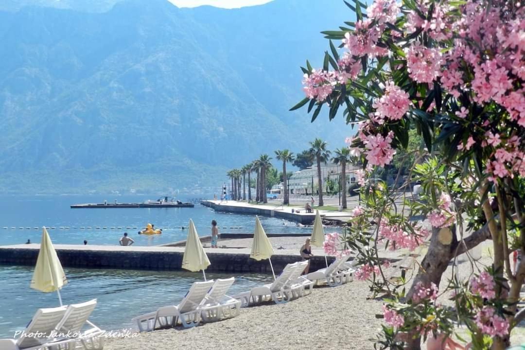 Apartments Scorpio Kotor Eksteriør bilde
