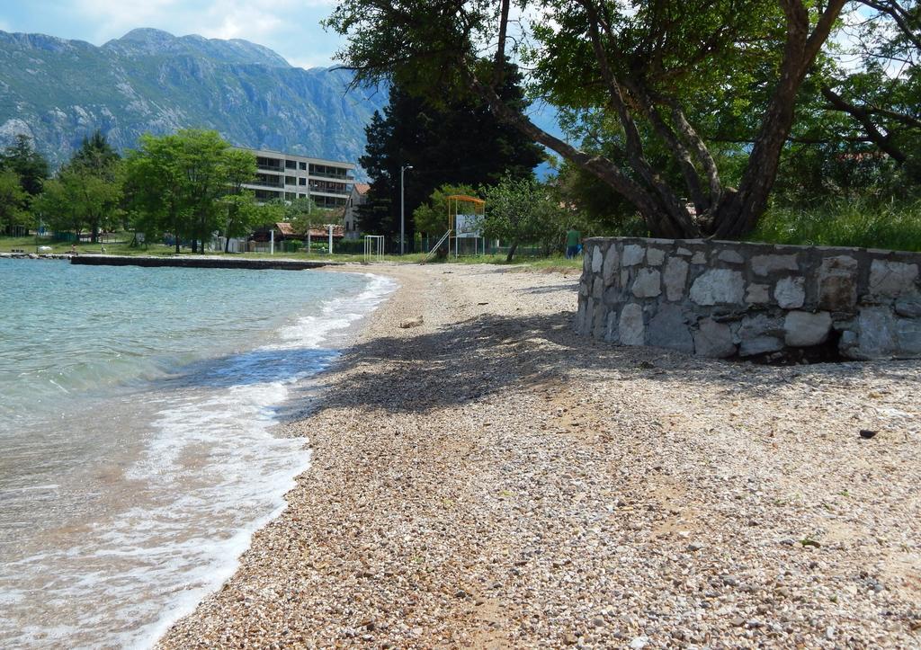 Apartments Scorpio Kotor Eksteriør bilde